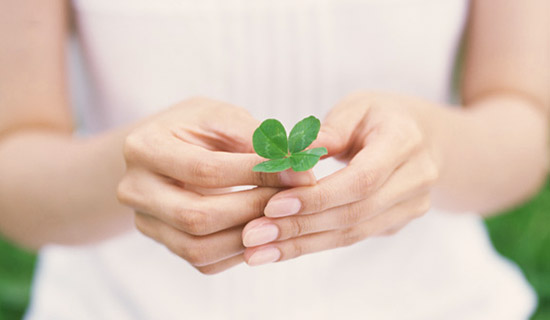 四つ葉のクローバーを握っている手